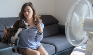 woman and dog sitting on couch in front of fan because air conditioner needs repair or maintenance
